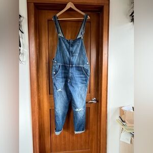 Current/Elliot Denim Overalls